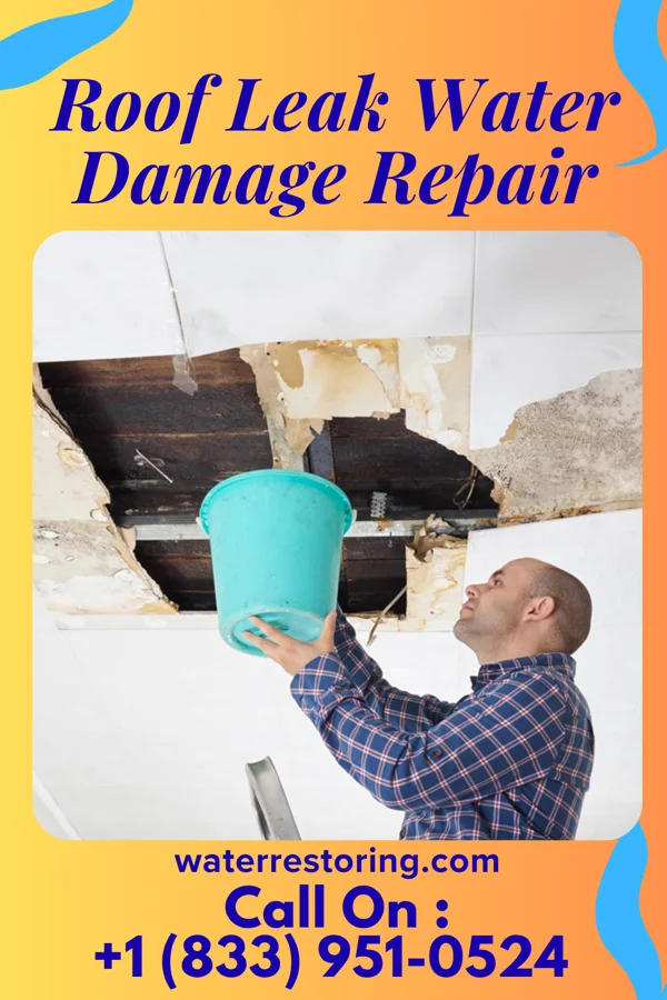 Roof Leak Water Damage Repair in Morley, IA